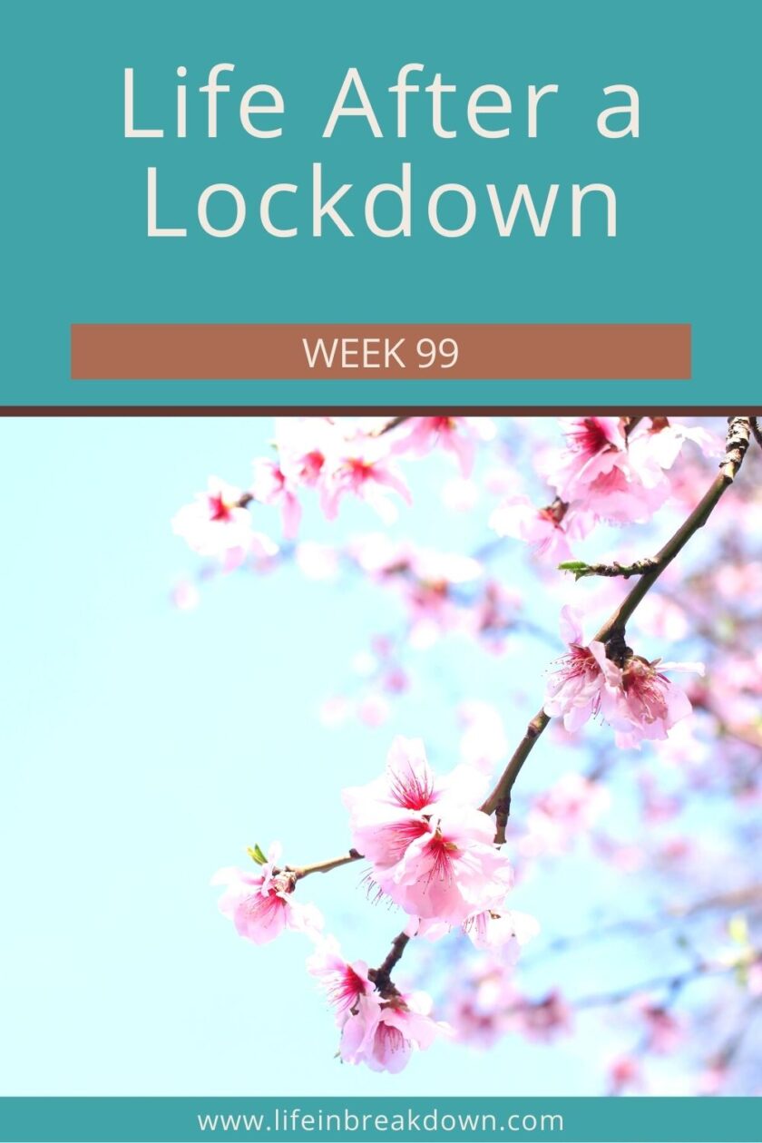 Week 99 of Life After a Lockdown, what has been happening this week, how does it feel to be getting back to normality, but still worried about what could be?