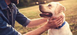 man with a dog