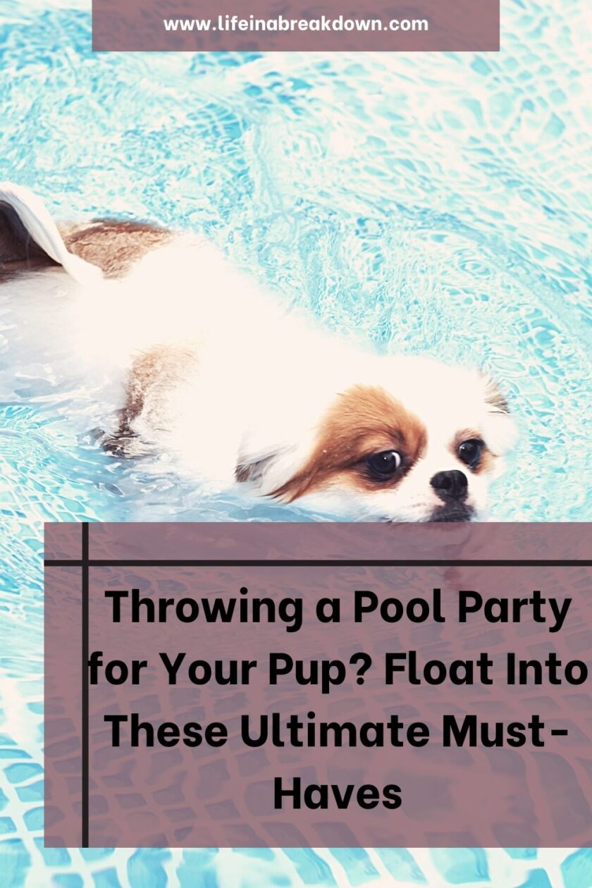 Are you thinking about throwing a pool party for your dog? Then here are some must-have suggestions to help that day go off without a hitch.