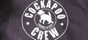 cockapoo crew from crumble and bert header