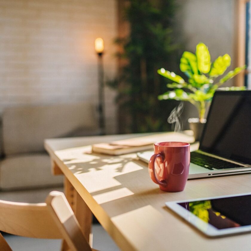 home office area with a plant