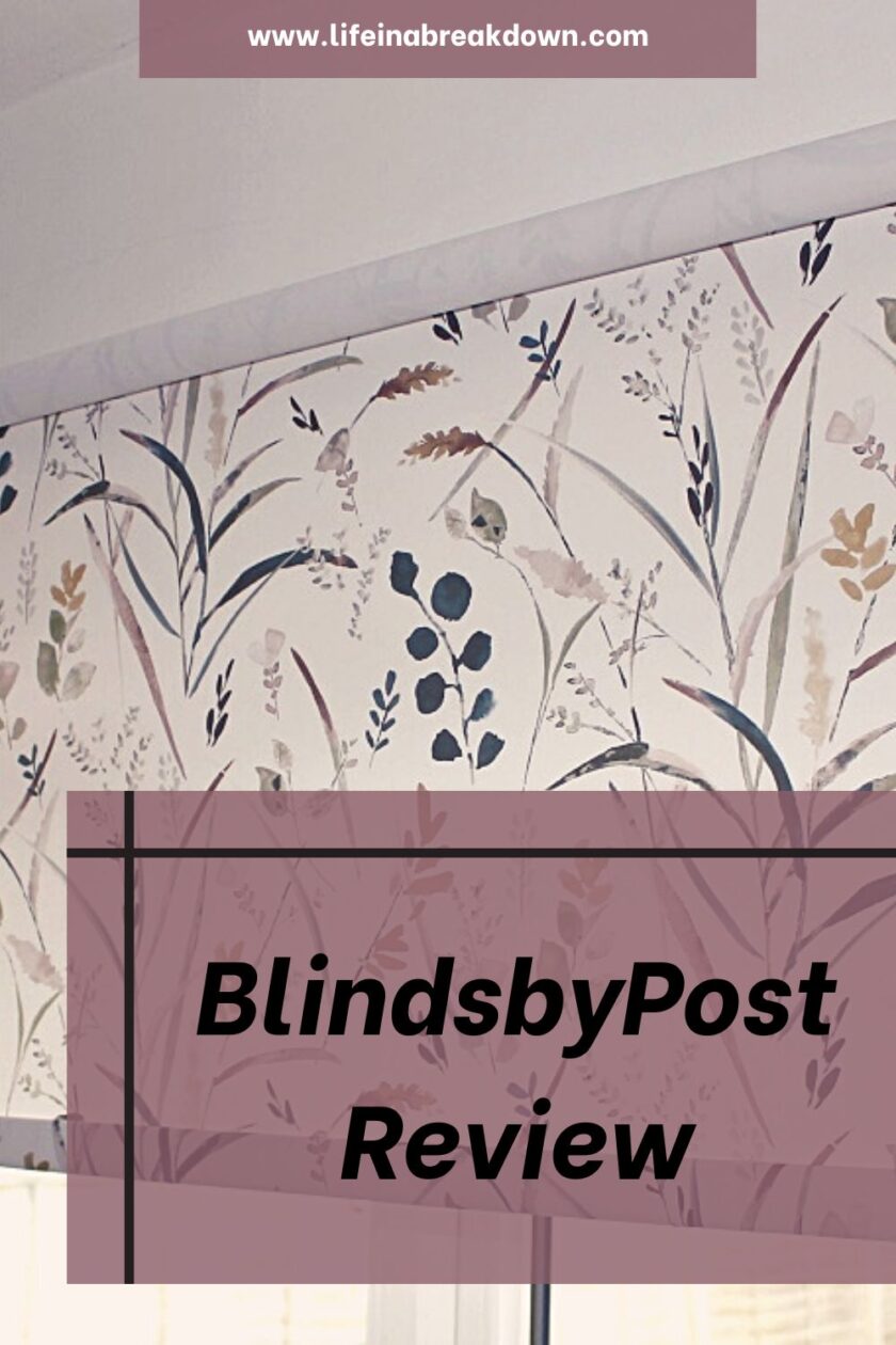 Are you looking to buy new blinds for your home? Then check out what I thought of BlindsbyPost in this review.