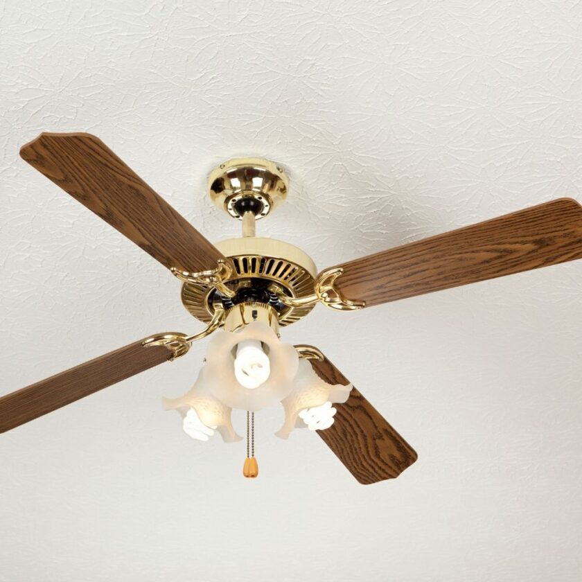 celling fan with lights 