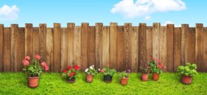 garden fence
