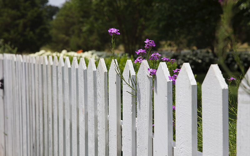 white garden fence