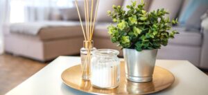 home decor of a plant candle and reed diffuser
