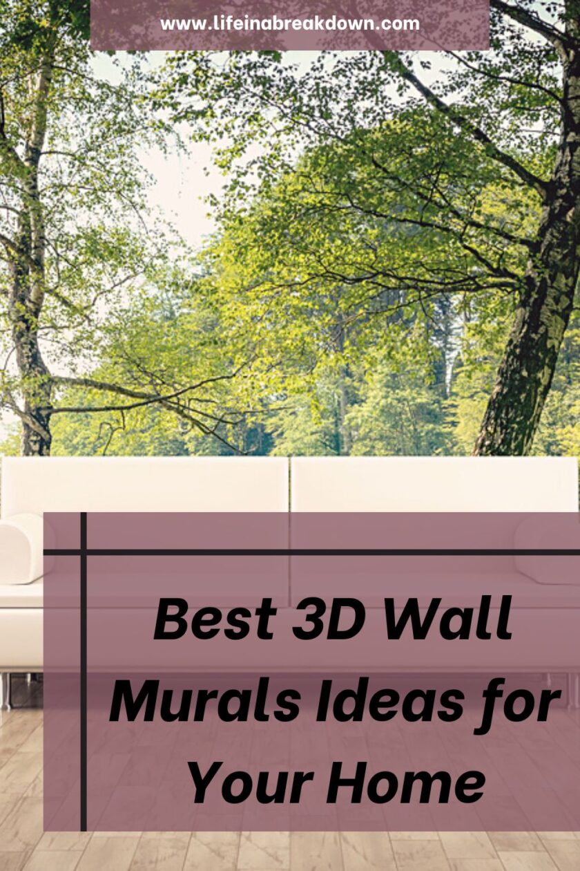 Best 3D Wall Murals Ideas for Your Home - Life in a Break Down