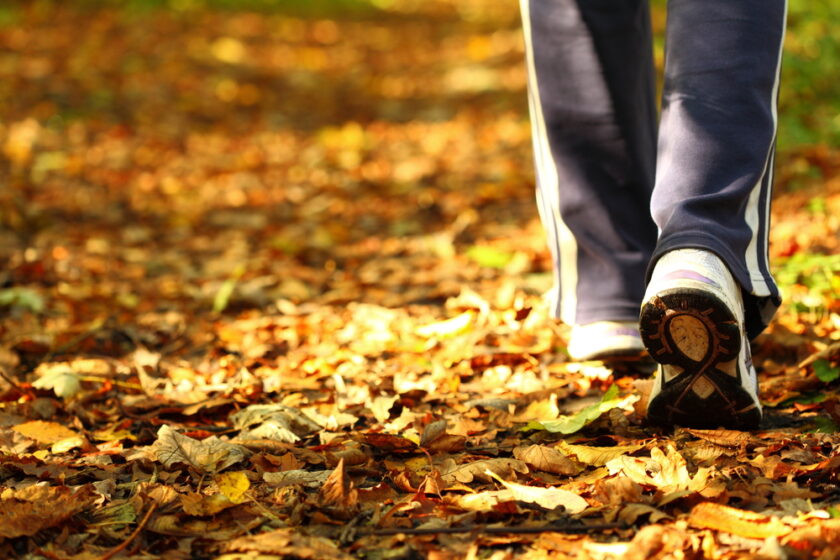 Woman walking cross country and trail in autumn forest