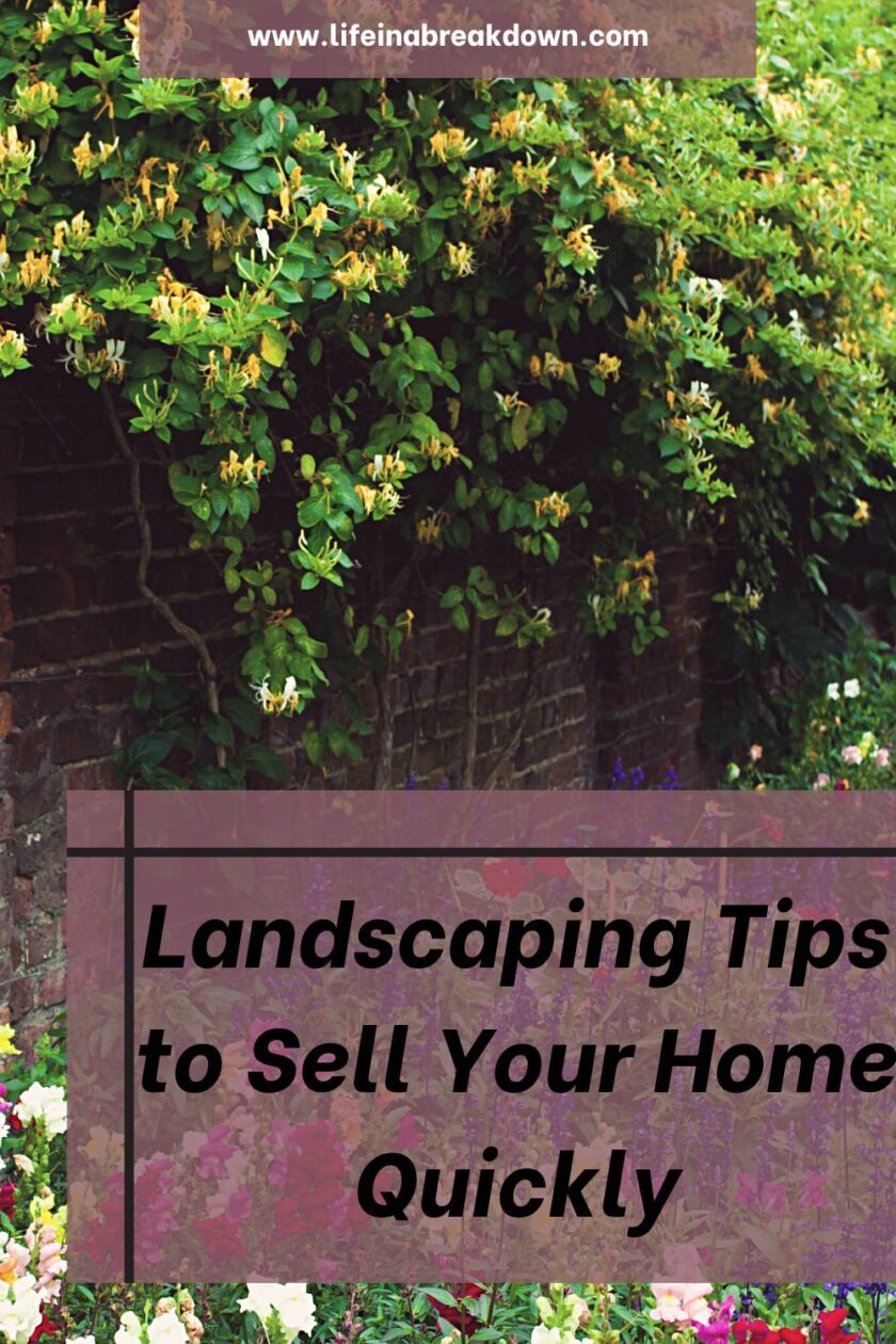 Are you thinking about having your garden landscaped to help with selling? Then here are some hints and tips.