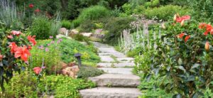 garden path between a flower bed