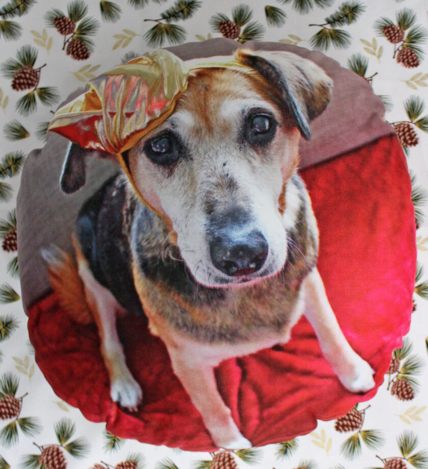 Boutique Gifts - Dog Face Round Photo Cushion