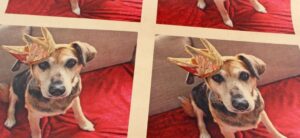 Christmas Gift Guide Part 2 Header