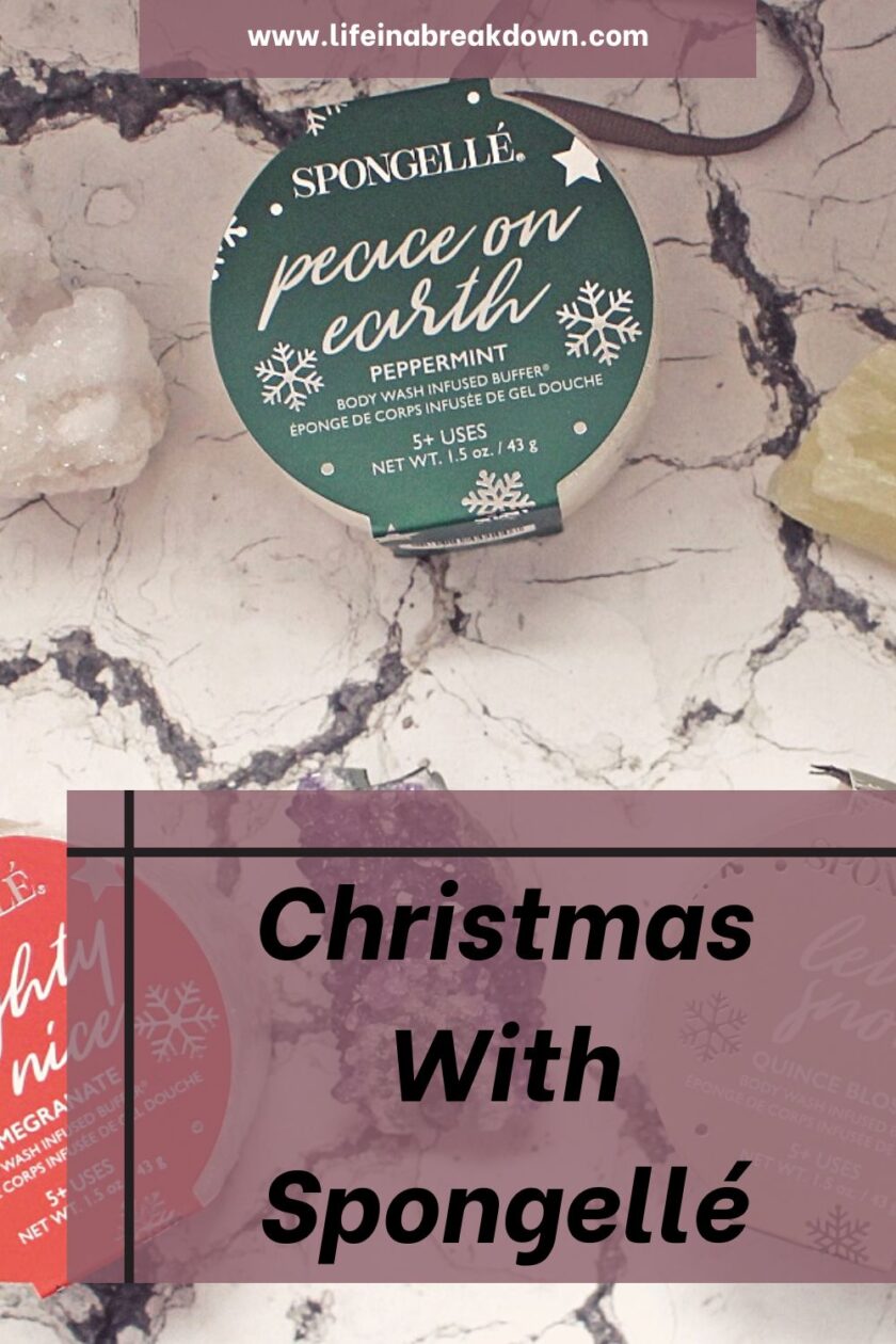 Are you looking for the perfect extra gift for someone this Christmas then check out these fantastic giftsets from Spongellé.