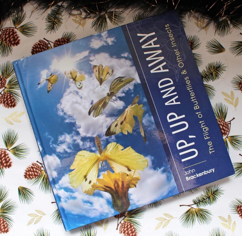 John Brackenbury - Up, Up And Away
