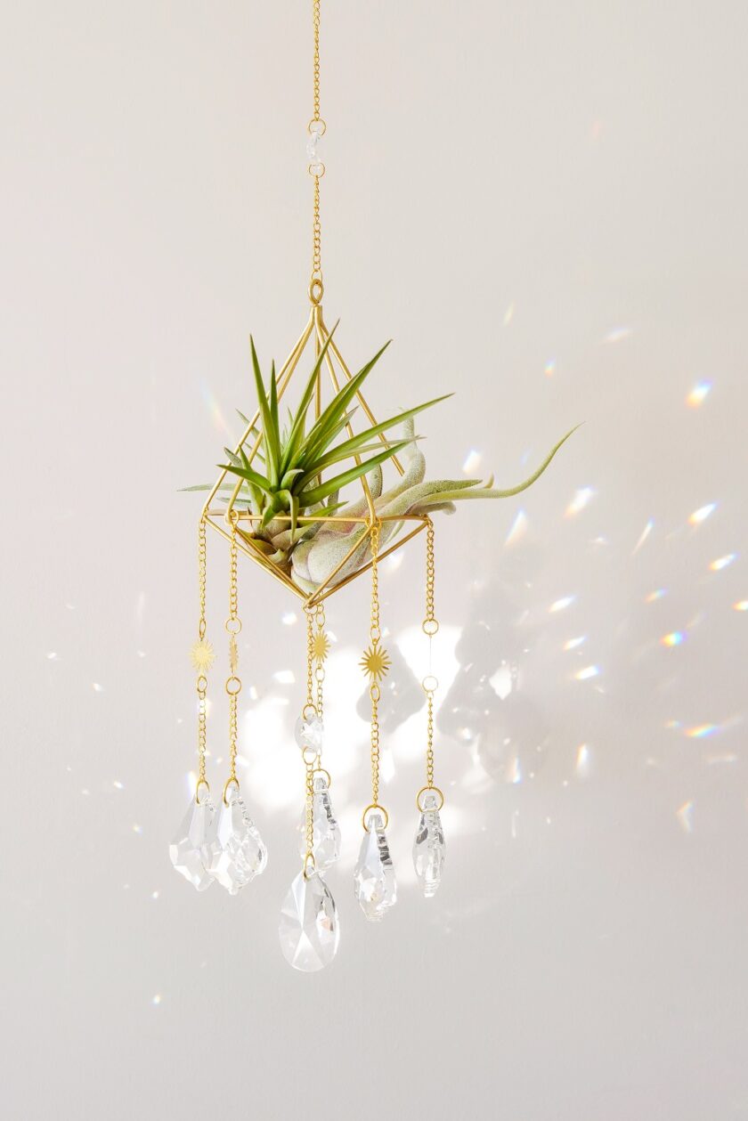 Salute to the Sun Crystal Airplant Suncatcher