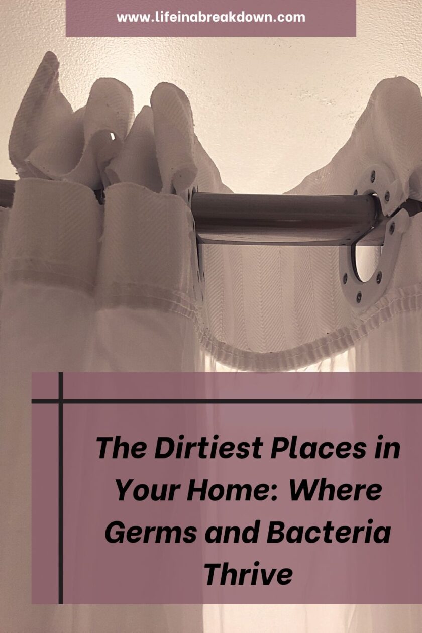 Are you wondering what dirt and bacteria live around your home? Well here are some of the most common places.