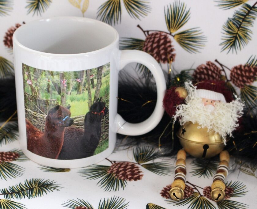 VistaPrint Personalised Mug