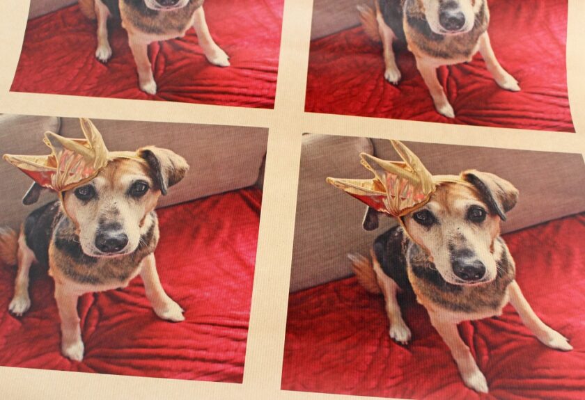 VistaPrint Personalised Wrapping Paper