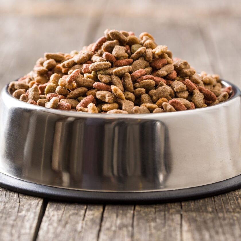 dry pet food in a bowl image licensed via canva pro and copyright via Getty Images and jirkaejc