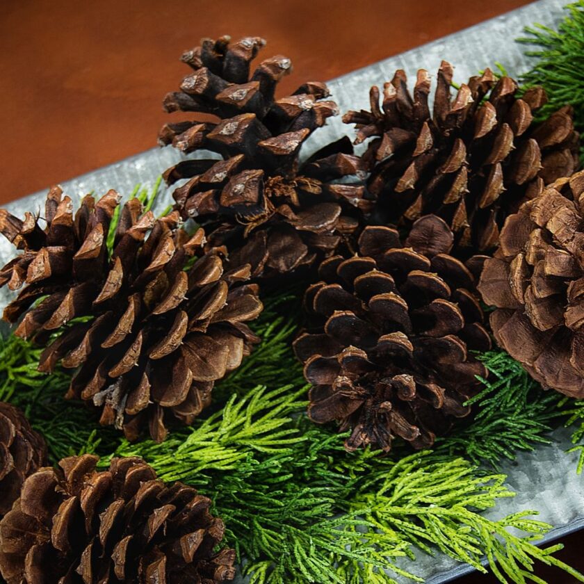 pinecone decorations 