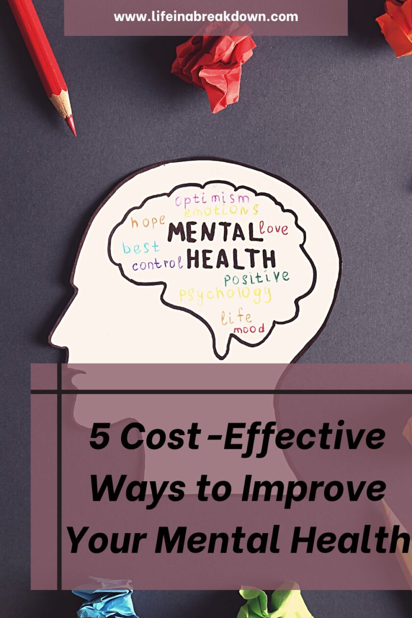 Are you looking for some simple ways to try and keep on top of your mental health? Then check out these cost-effective tips.