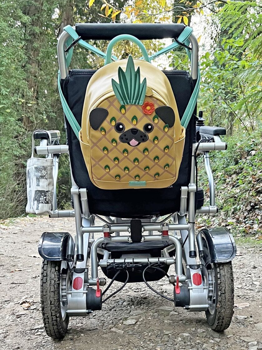 Vendula Smoothies Pugnapple Backpack