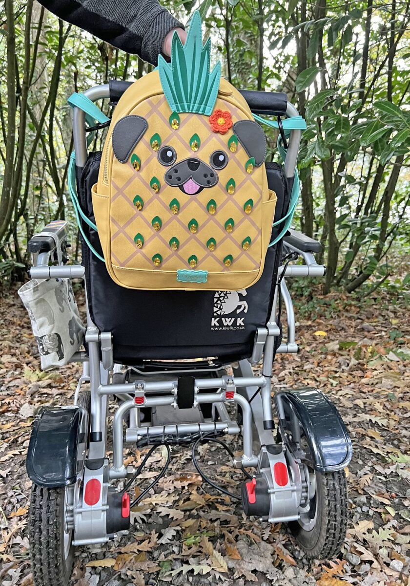 Vendula Smoothies Pugnapple Backpack
