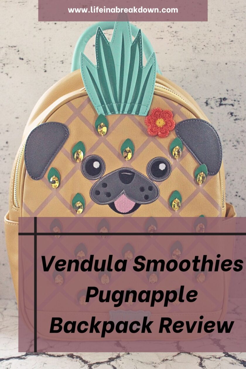 Are you looking for a fun and funky backpack? Then check out the Smoothies Pugnapple Backpack from Vendula London in this review.