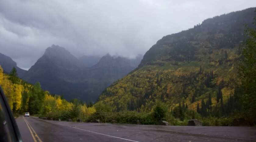 road surrounded by trees