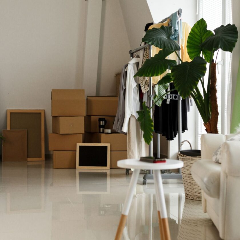 home being packed into boxes ready for moving