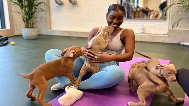 Puppy Yoga with Bottomless Prosecco for Two with Puply from Red Letter Days