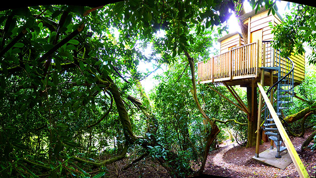 Two Night Break in The Nest Tree House
from Red Letter Days