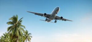 plane in the air with a palm tree to the side