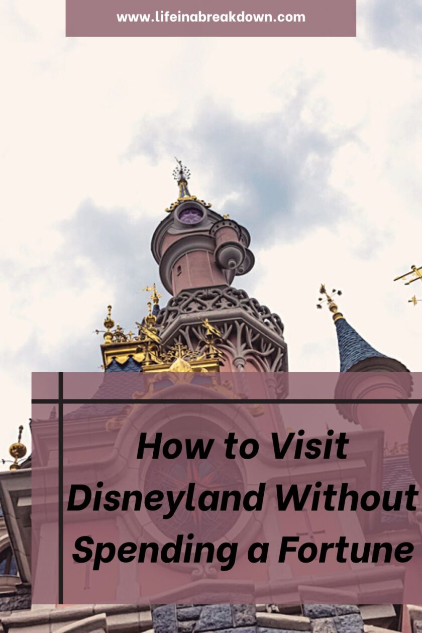 Are you looking to visit Disneyland this year, then here are some tips to help you do so without breaking the bank.
