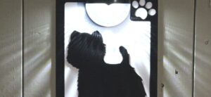 Unique Solar Wall Plaques from Florys Online Header