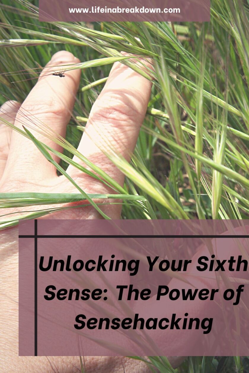 The power of sensehacking graphic pin