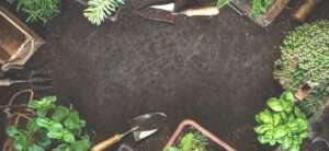 garden tools around a soil patch