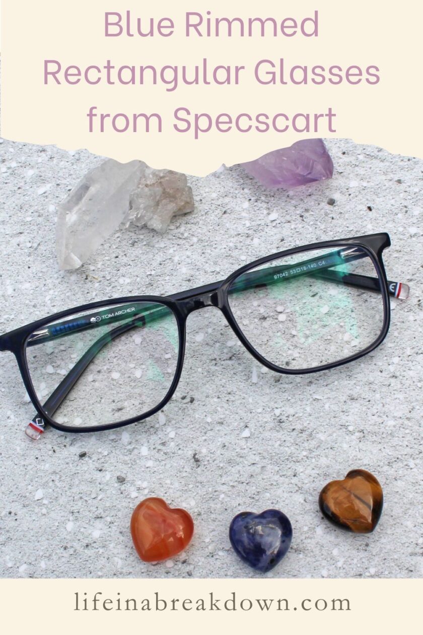 Are you looking to get an affordable pair of glasses in up-to-date fashion frames? Then it is well worth checking out Specscart.