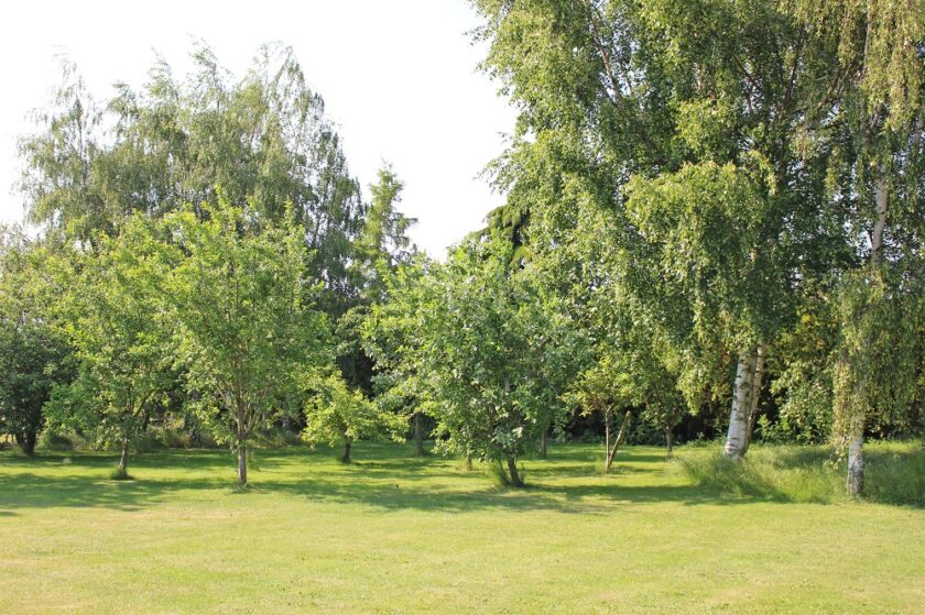 South Newlands Farm Cottages Copper Cottage Behind Garden