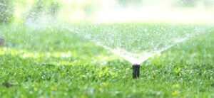 garden sprinkler