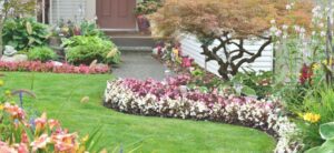 garden with flower patches