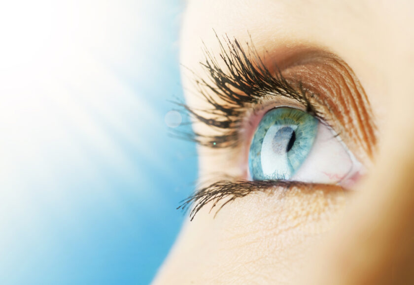 Beautiful Blue Eye