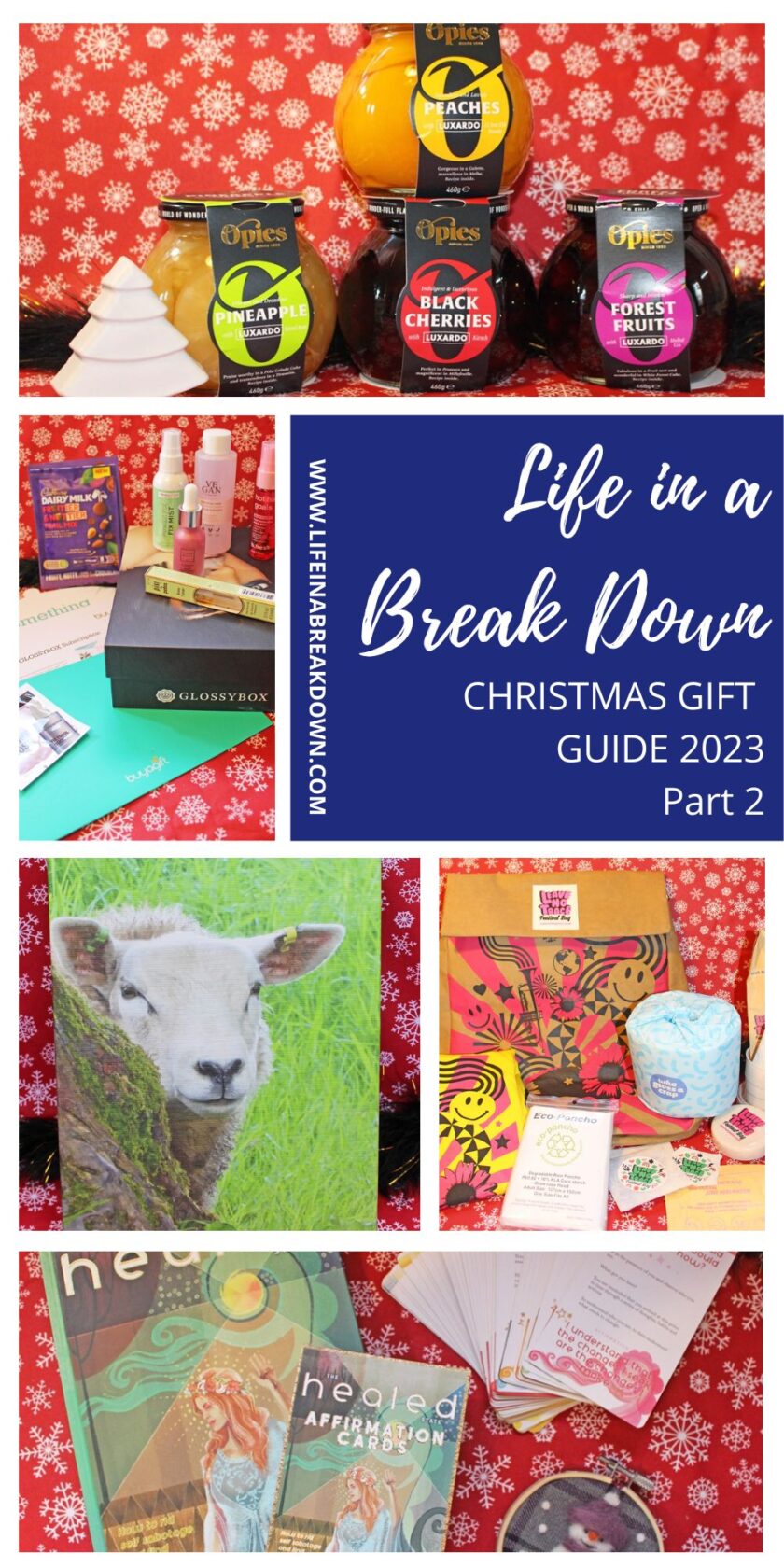 Wondering what to buy for Christmas for your friends and family this year? Well here is a run down of some of the top gift ideas.