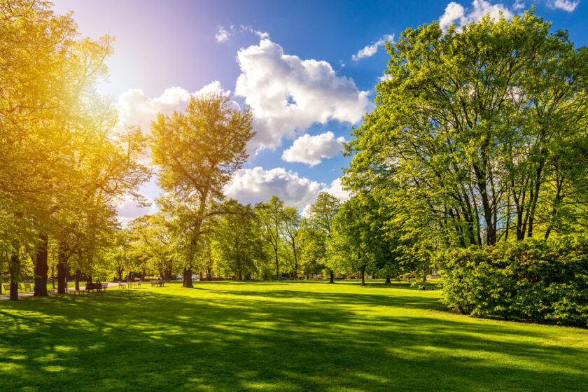 Spring view in Letna Park, Prague, Czech Republic. Spring in Prague (Praha), beautiful Letna park (Letenske sady) in sunlight, sunny landscape, popular tourist destination, Prague, Czech Republic