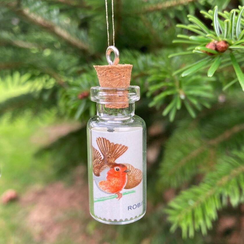 A small glass bottle with a cork, hanging from a tree branch, contains a paper illustration of a robin bird perched on a branch.