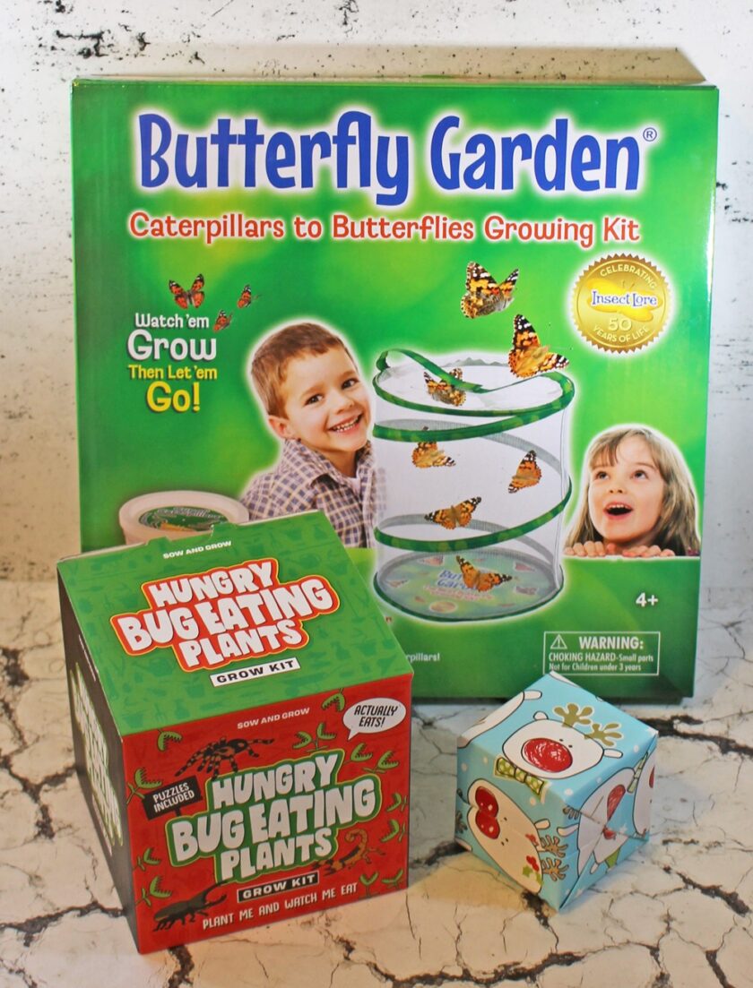 Gift Ideas for Kids from Wicked Uncle (1)