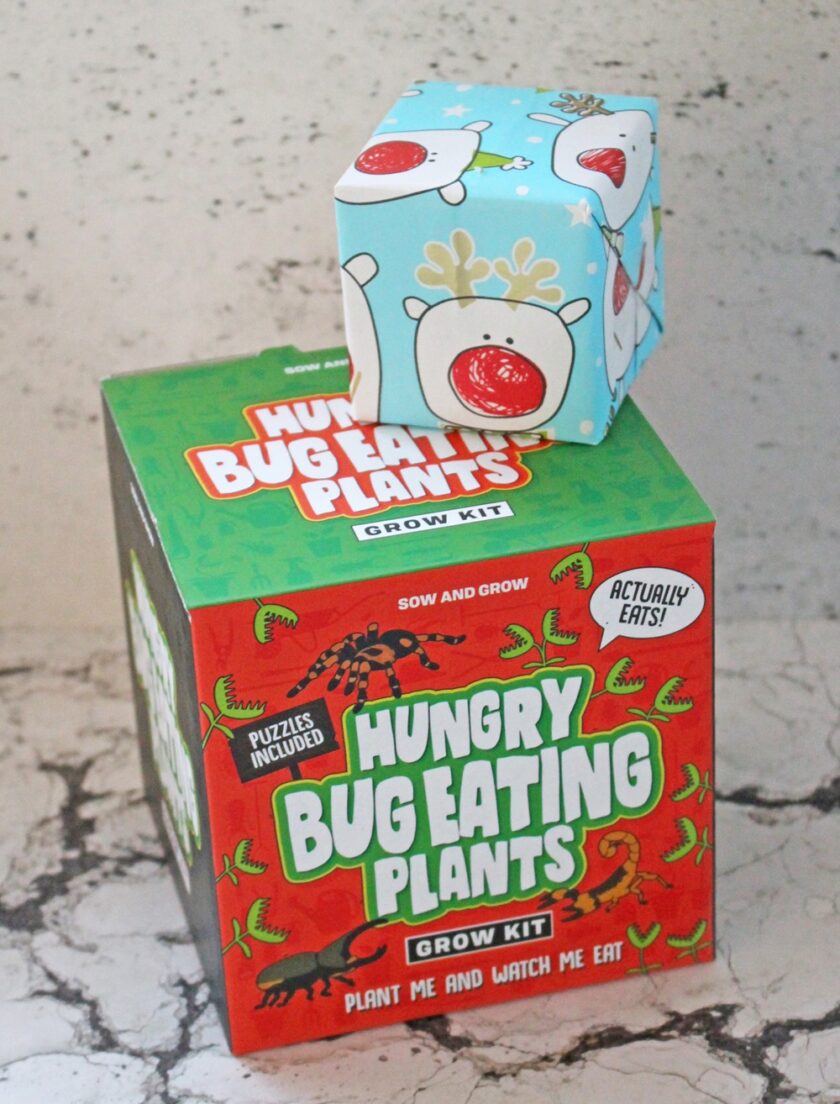 Gift Ideas for Kids from Wicked Uncle (3)