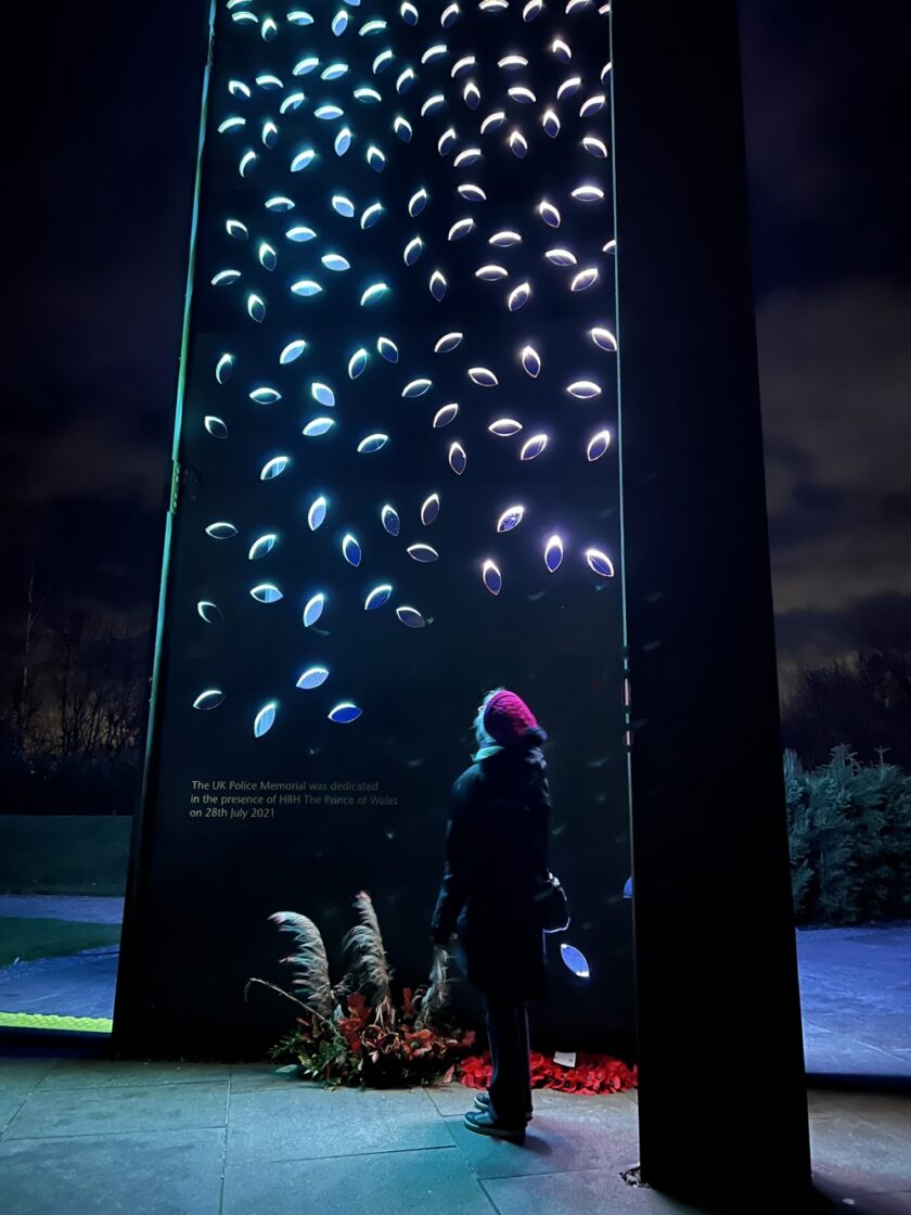 Illuminated Arboretum