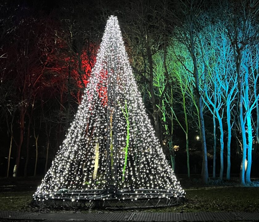 Illuminated Arboretum