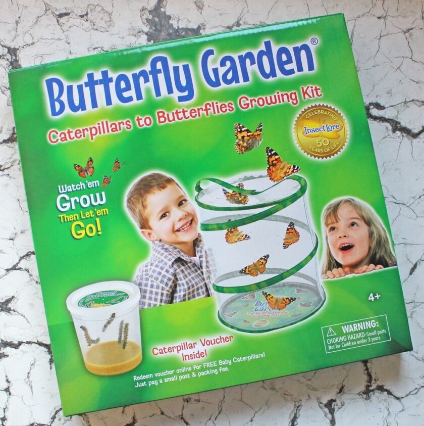 Live Butterfly Garden Wicked Uncle